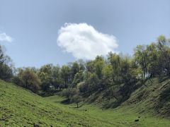 -关山草原