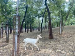 -秦皇岛野生动物园