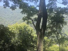-武当山风景区