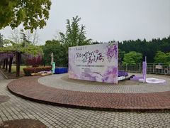 -嘉定紫藤园