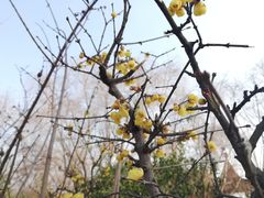 -胜记凯心茶餐厅(汇金财富广场店)