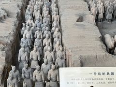 -秦始皇帝陵博物院-丽山园