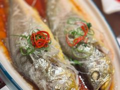 -波螺油子青岛本帮菜(银座店)