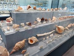 -浙江自然博物院(杭州馆)