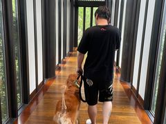 -上海崇明金茂凯悦酒店