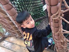 -杭州开元森泊度假乐园