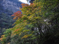 -黎坪国家森林公园