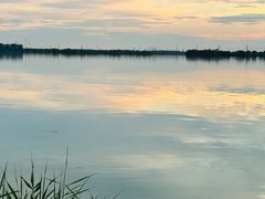 -漕湖湿地公园