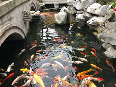 -西林禅寺