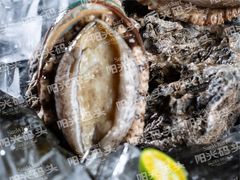 大连活鲜鲍-阳光码头海鲜火锅(世纪大道店)