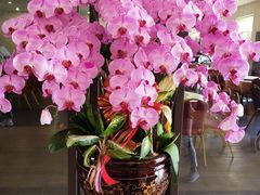 -佛光山朝山会馆