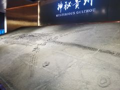 -贵州省地质博物馆