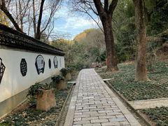 -上海佘山国家森林公园天马山园