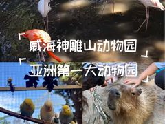 -西霞口神雕山野生动物世界