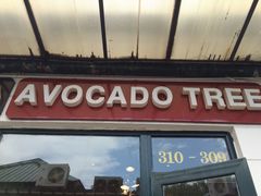 油梨树餐厅(新国展店)-油梨树AVOCADO TREE(顺义新国展店)