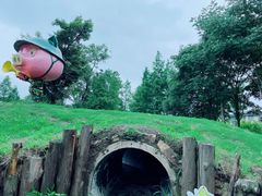 -田园东方蜜桃村的田野营地