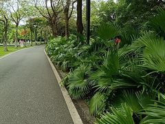 -海珠湖公园