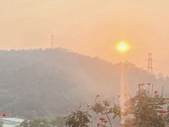 -深圳仙湖植物园