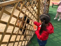 -萌宠亲子动物乐园(槐房万达店)