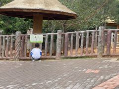 -石家庄市动物园