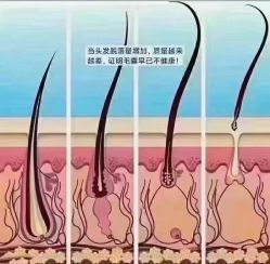 点击看大图 -LJOY丽锦造型·烫发染发