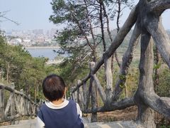 -青龙山国家森林公园