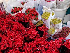 -循礼门鲜花花市(武汉循礼门店)