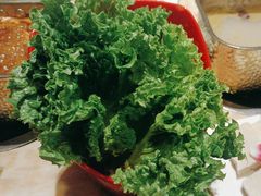 -清真军邺·金富苑肥牛(石坡街旗舰店)