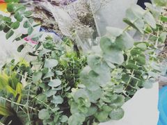 -秦美花卉(天朗·莱茵小城2期店)