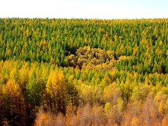 -塞罕坝国家级自然保护区