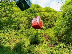-王顺山国家森林公园