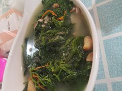 上汤桑叶-石岐乳鸽村(桥观坊南四巷店)
