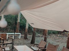 -桉树林A coffee 森林餐厅(三圣乡店)