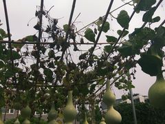 -北京凯威富檑上汽大众4S店(良乡店)