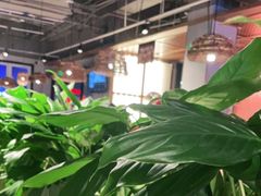 -管氏翅吧(台湾街店)