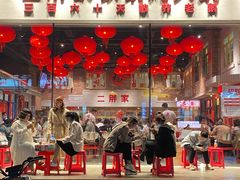 -二胖家铁锅炖大鹅(双井店)
