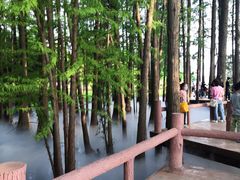 -东湖落雁景区