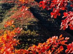-狼牙山风景区