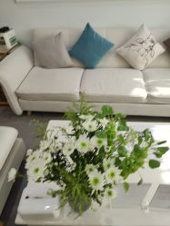 -HEYAN荷妍专业脱毛连锁机构