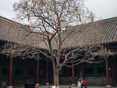 -张学良旧居陈列馆