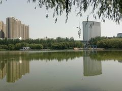 -青城公园