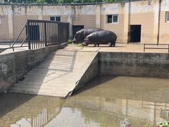 -合肥野生动物园