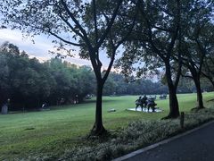 -广州雕塑公园