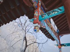 -京东石林峡风景区