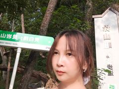 -灵岩山风景区