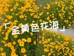 -南京信息职业技术学院