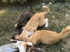 -复旦大学附属华山医院(总院)