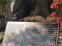 -红螺寺