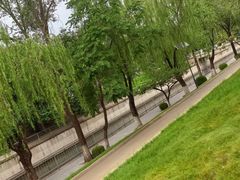 -元大都城垣遗址公园