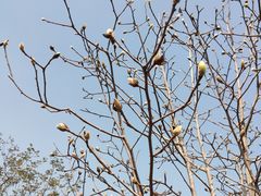 -中国移动南方基地